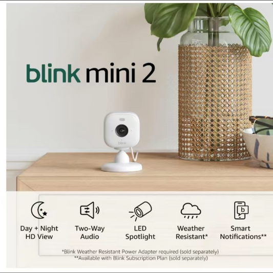Blink Mini 2 - Home Security & Pet Camera with HD video
